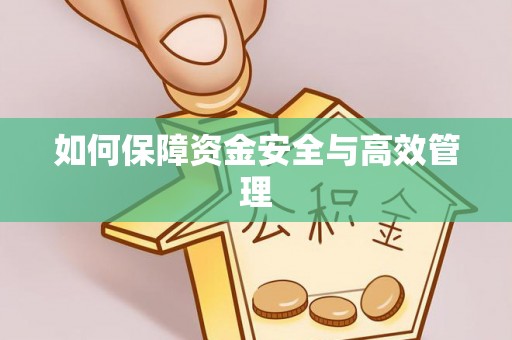 安远如何保障资金安全与高效管理