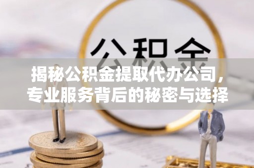 安远揭秘公积金提取代办公司，专业服务背后的秘密与选择指南