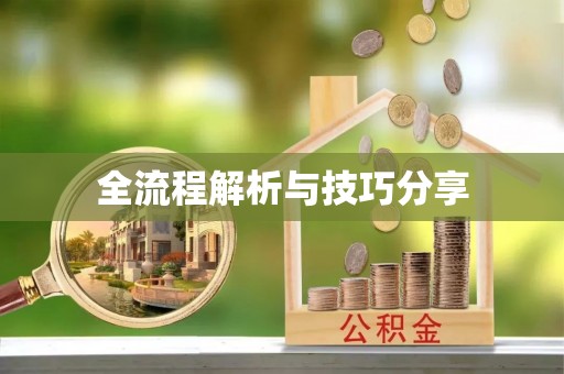 安远全流程解析与技巧分享